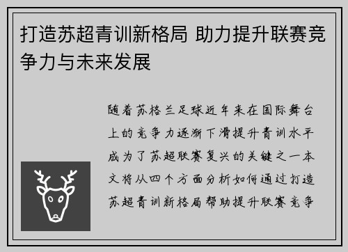 打造苏超青训新格局 助力提升联赛竞争力与未来发展